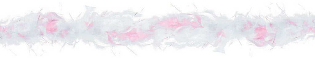 Elegant Bride Feather Boa