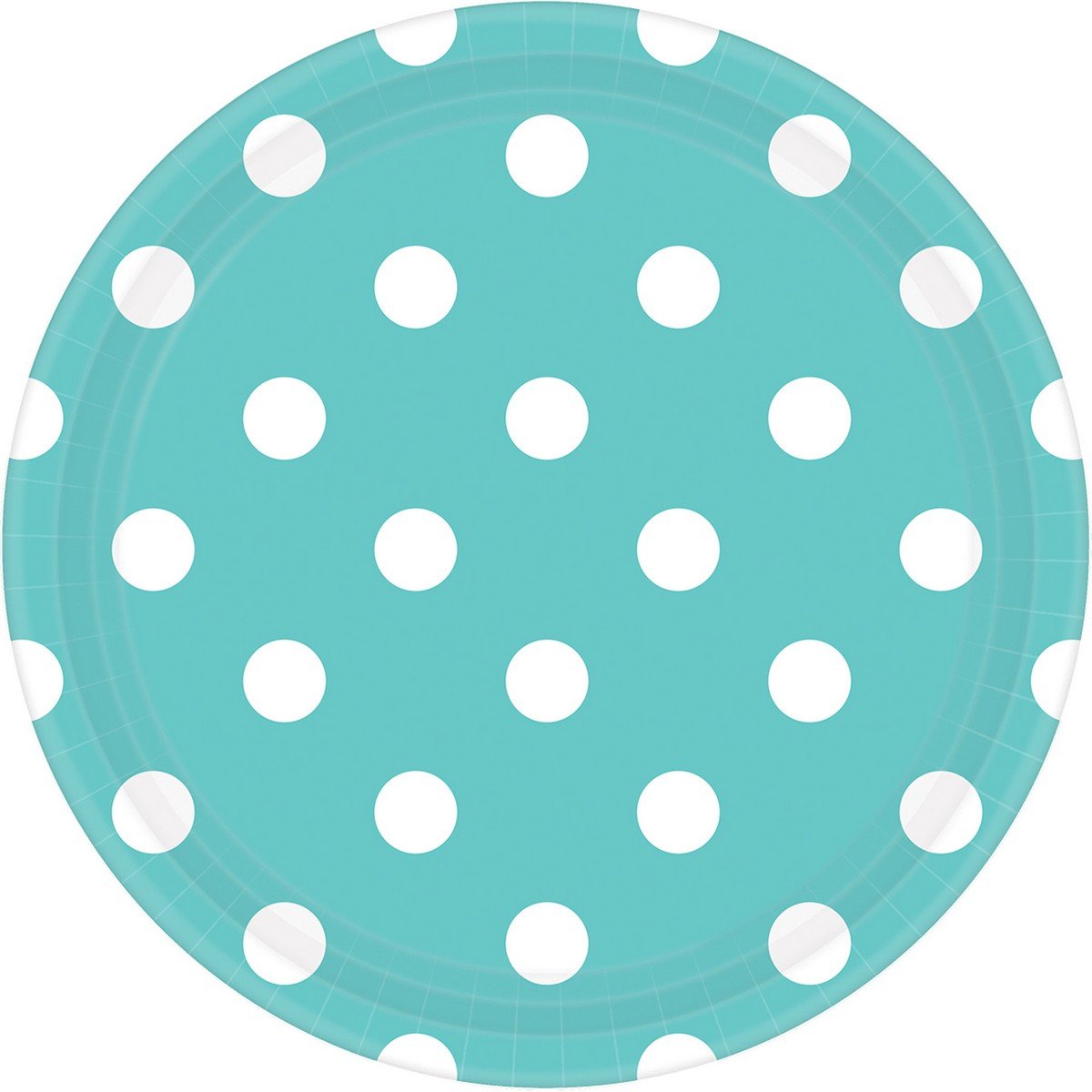 Dots 17cm Round Paper Plates Robin's Egg Blue