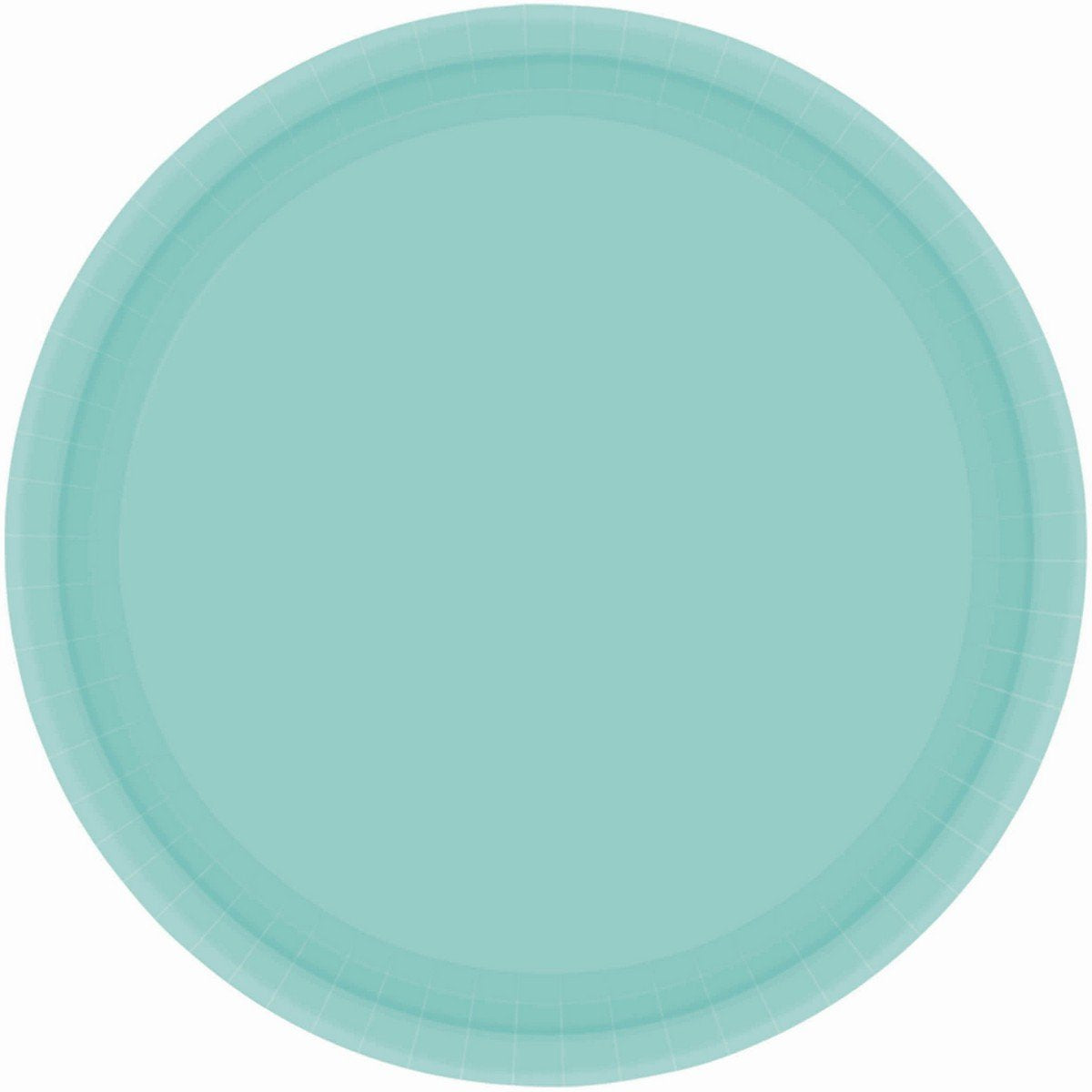 Paper Plates 23cm Round 20CT - Robin's Egg Blue