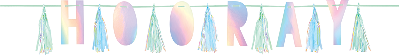 Shimmering Party Iridescent Tassel Garland HOORAY
