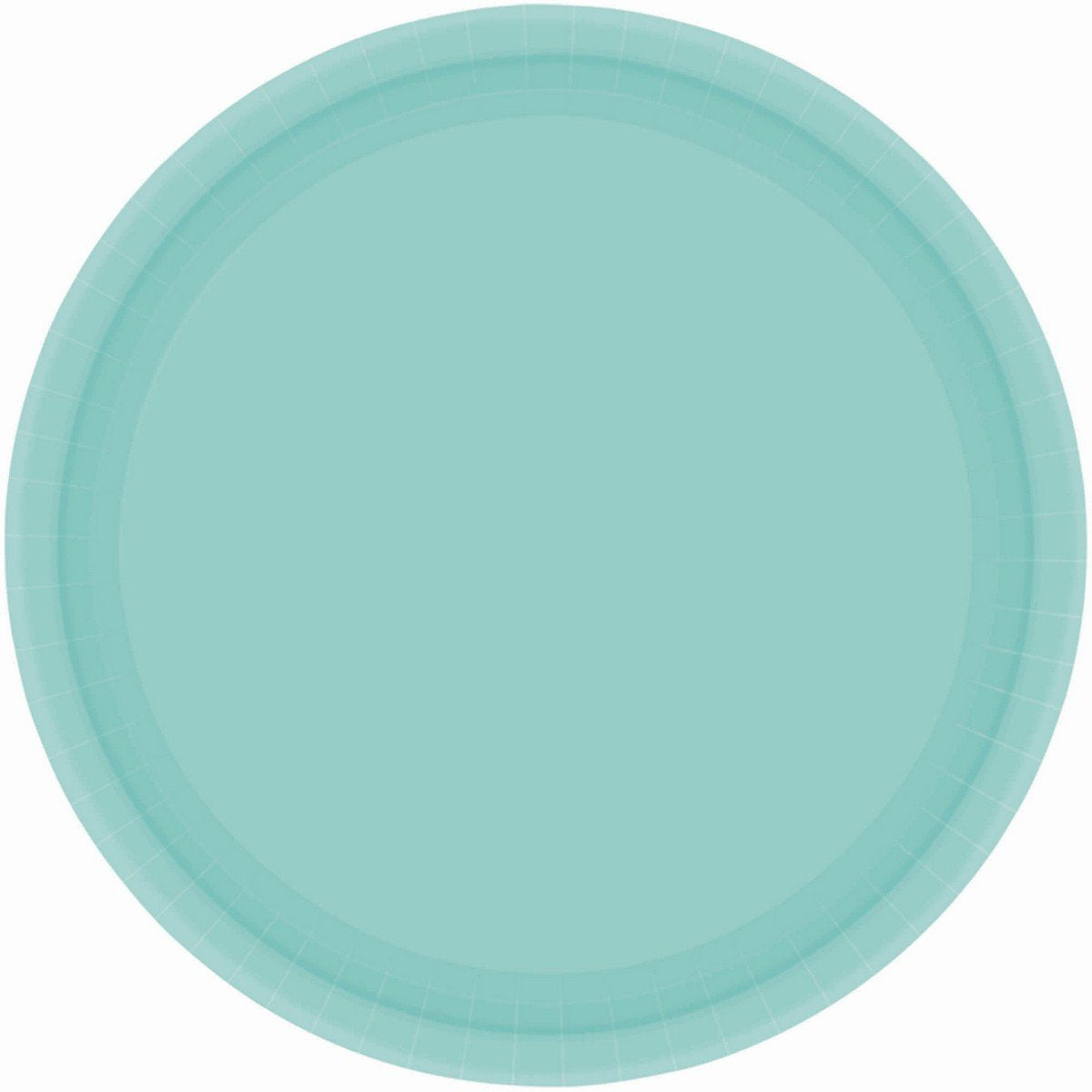 Paper Plates 23cm Round 20CT FSC - Robin's Egg Blue - No Plastic Coating
