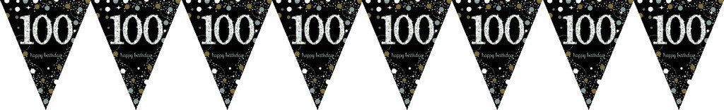 Sparkling Celebration 100 Prismatic Pennant Banner - Plastic