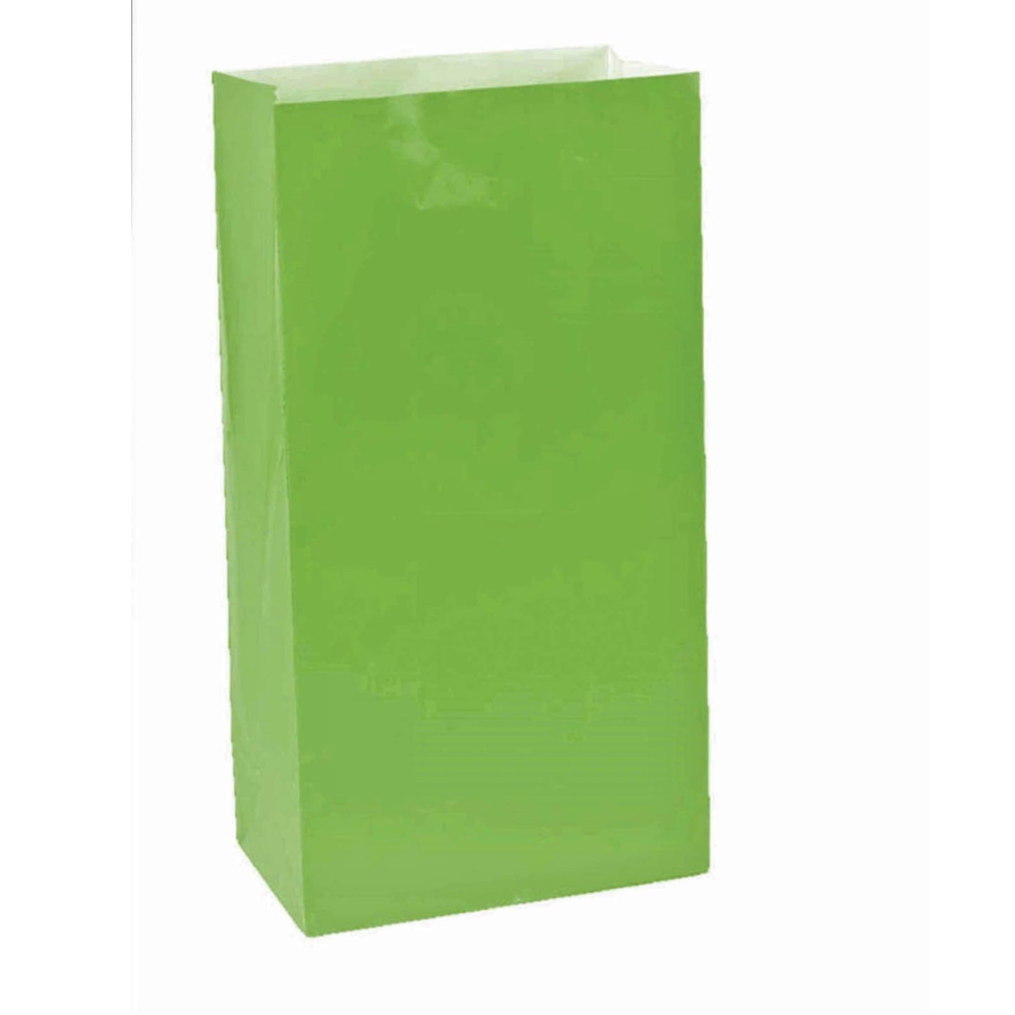 Large Paper Treat Bags Kiwi