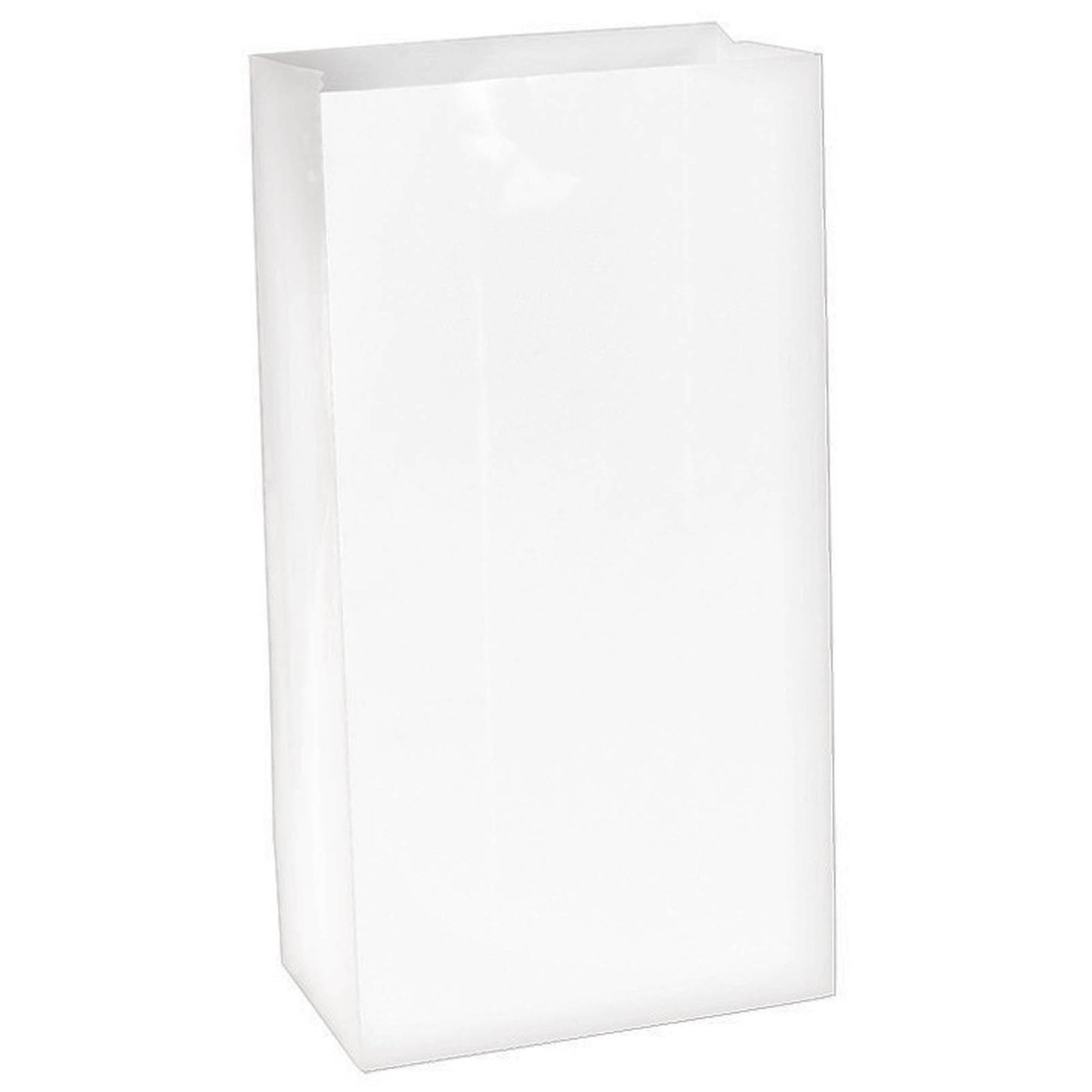 Large Paper Treat Bags White