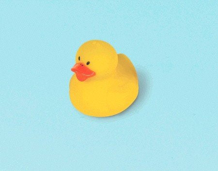 Value Pack Favor - Rubber Ducky