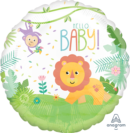 45cm Standard HX Fisher Price Hello Baby