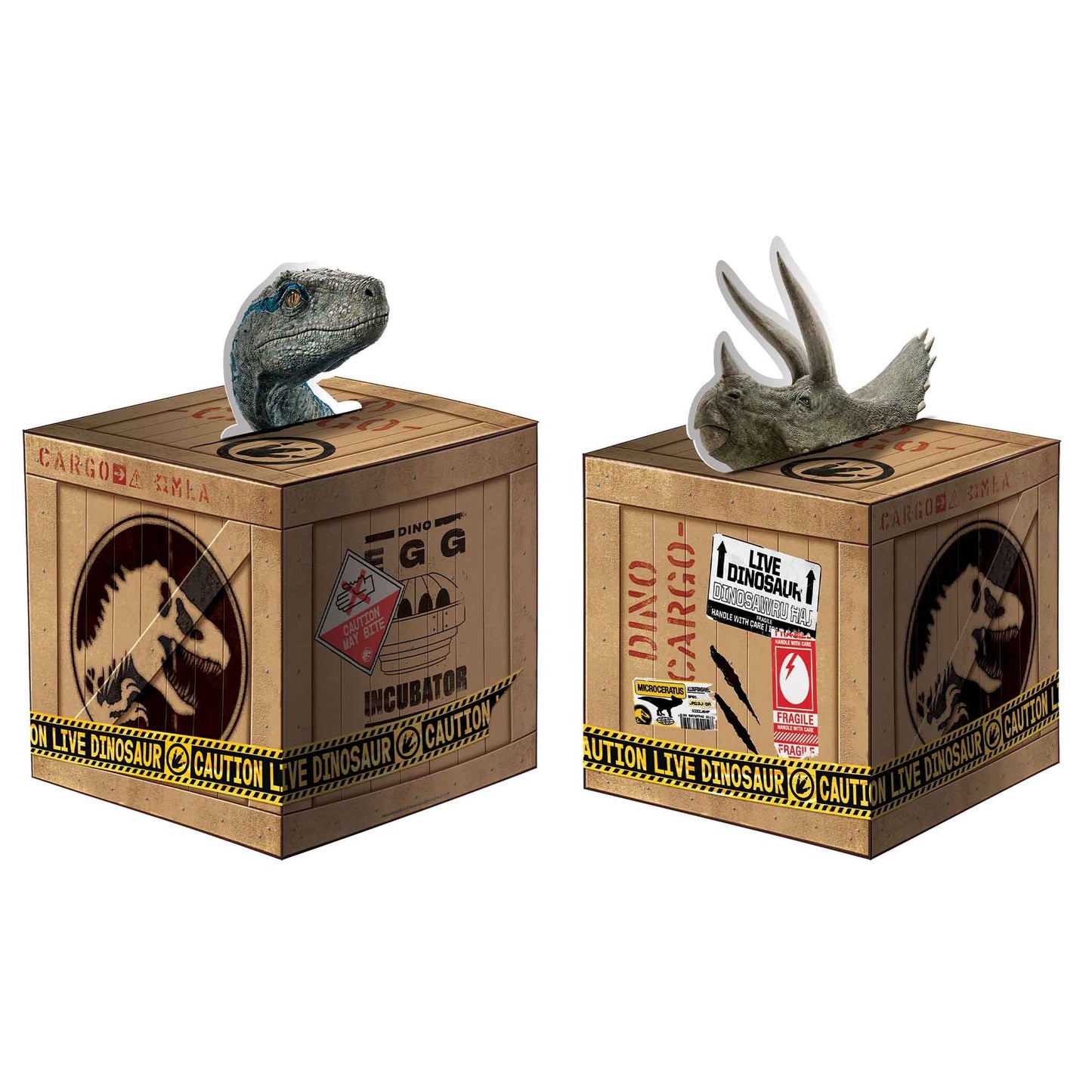Jurassic Into The Wild Centrepiece Decorating Kit