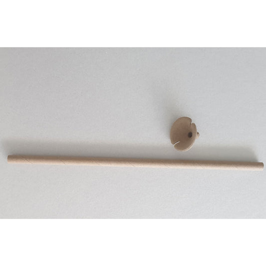 Balloon Cups & Sticks 30cm Paper 20PC